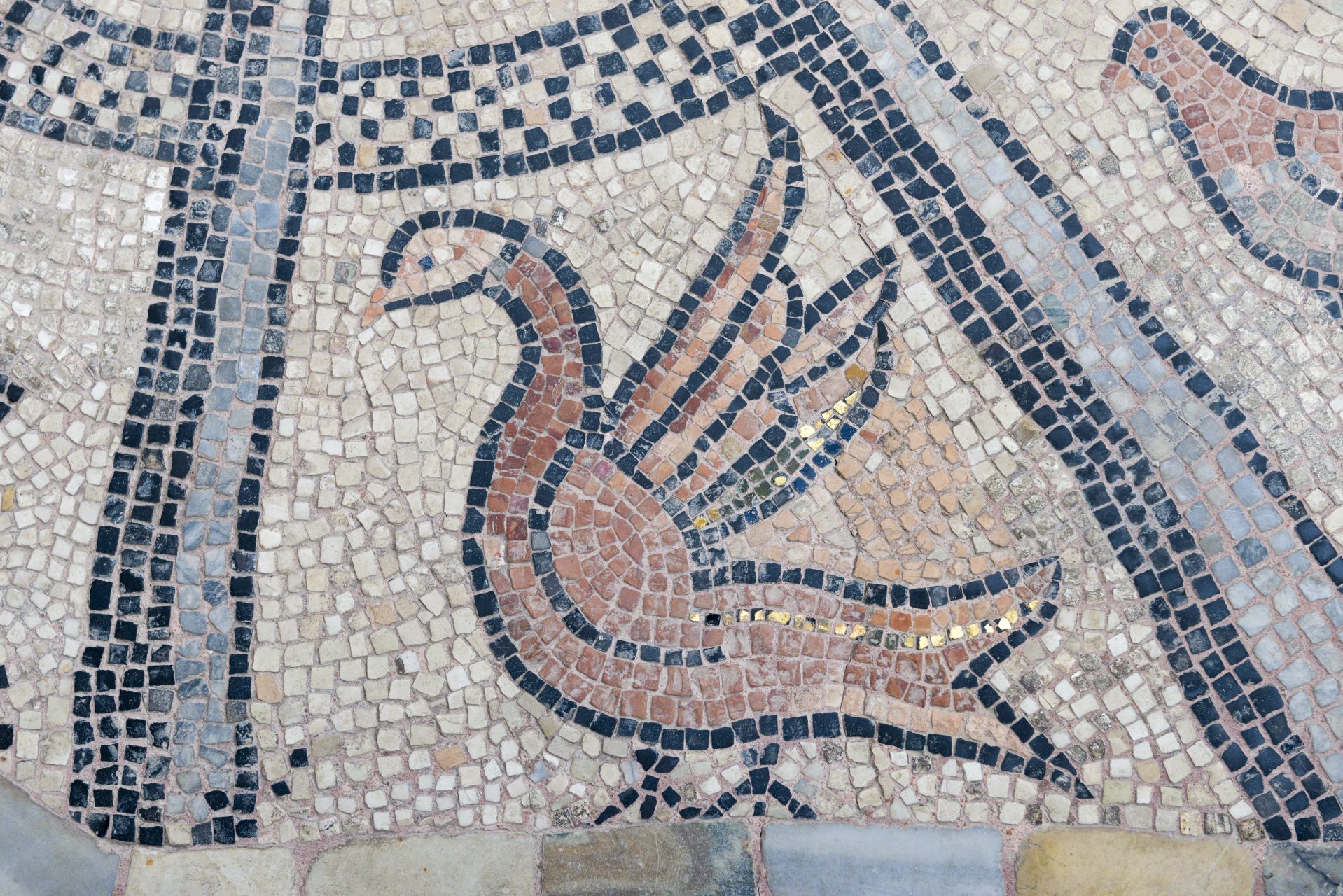 Cappella d'Oro of de San Tarasio kapel - de veneto-byzantijnse mozaiekvloer met dieren motieven uit 1176. Oorspronkelijke vloer van de romaanse kerk, gerestaureerd met hulp van Stichting Nederlands Venetie Comité in 2010